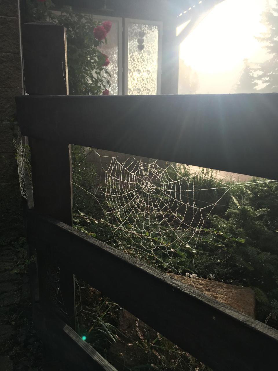Ubytování Doma Tisá Esterno foto